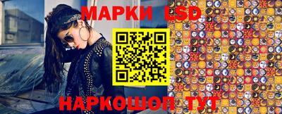 стаф Обь