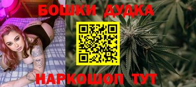 стаф Обь