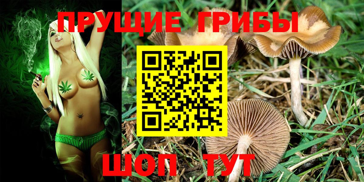 Белая Калитва  Галлюциногенные грибы Cubensis  Галлюциногенные грибы мицелий  Вход с VPN 